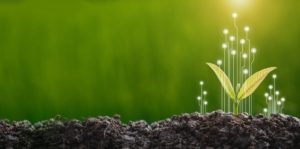 Stratégie Développement durable, RSE, STM et sobriété énergétique