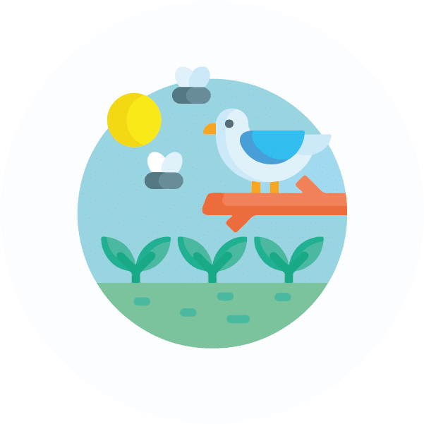 Animation pour la direction et les séminaires de managements sur le biodiversité